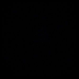 Meet your Posher, Nerine